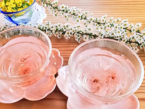 春爛漫・桜茶 ♬*゜